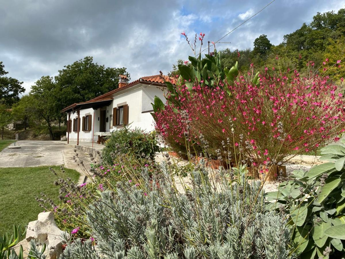 Hébergement de vacances Istrian House In The Heart Of Tupljak - Smilovic *